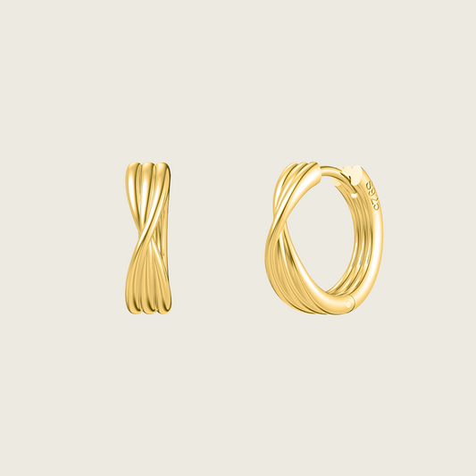 Twisted Hoop Earrings