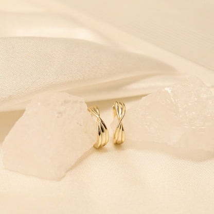 Twisted Hoop Earrings